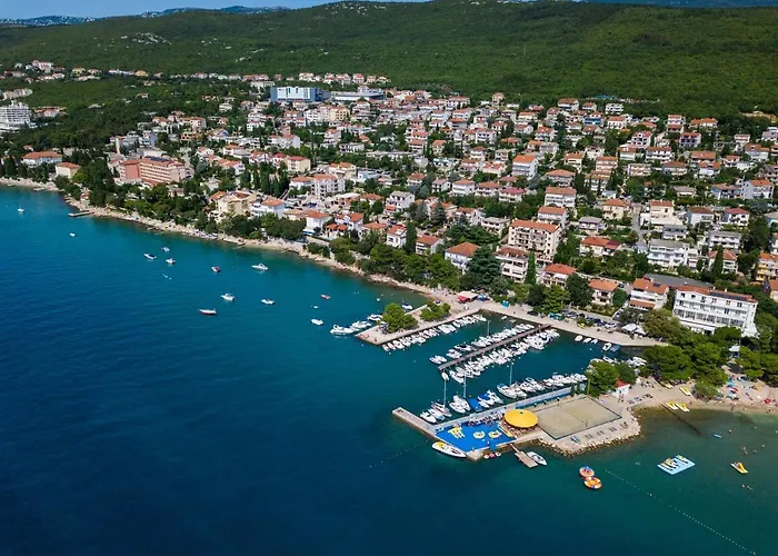 Danica 크리크베니카